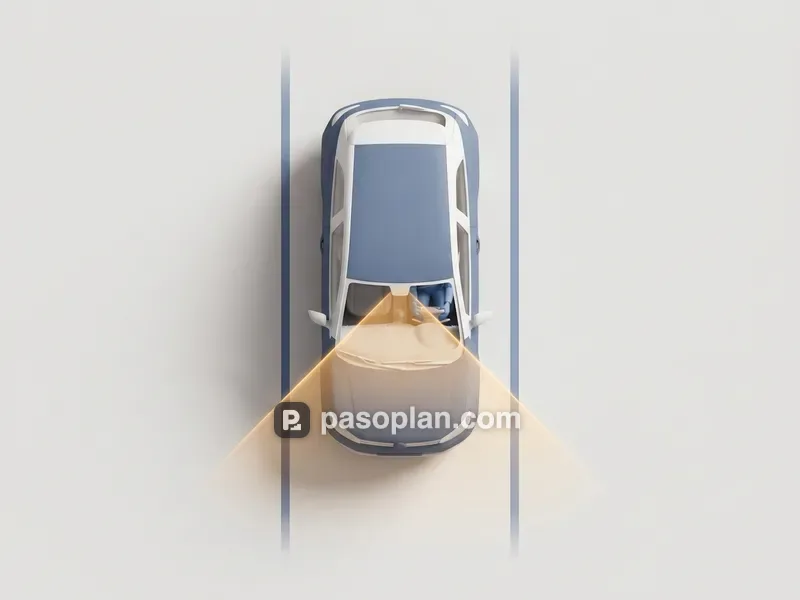campo visual — поле зрения